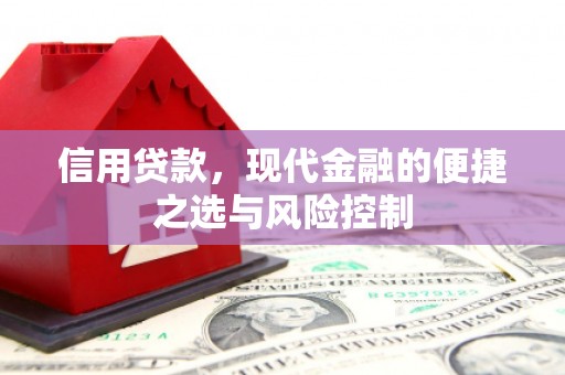 布袋信用贷款，现代金融的便捷之选与风险控制