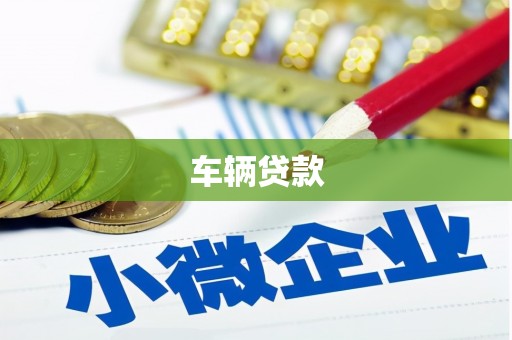 布袋车辆贷款