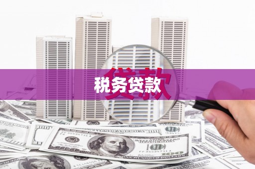 布袋税务贷款