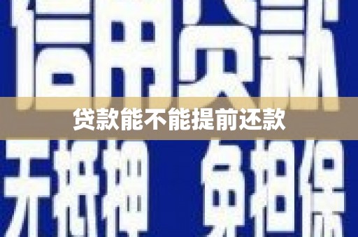 布袋贷款能不能提前还款
