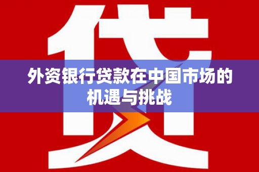 布袋外资银行贷款在中国市场的机遇与挑战