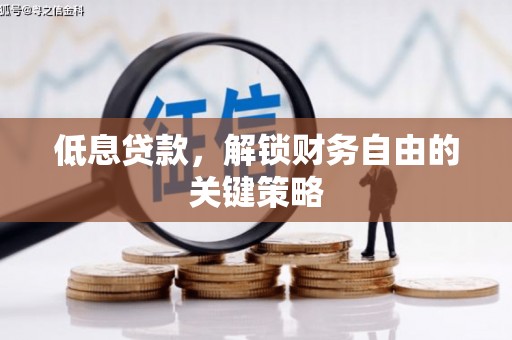 布袋低息贷款，解锁财务自由的关键策略
