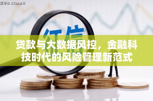 布袋贷款与大数据风控，金融科技时代的风险管理新范式