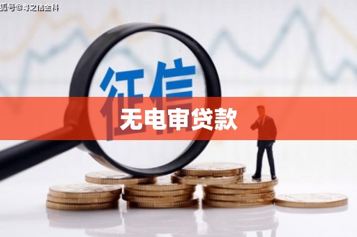 布袋无电审贷款