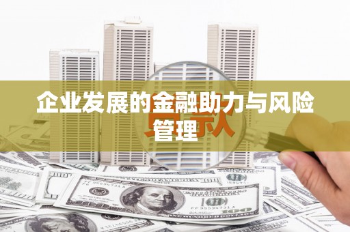布袋企业发展的金融助力与风险管理