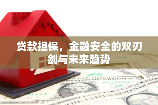 布袋贷款担保，金融安全的双刃剑与未来趋势