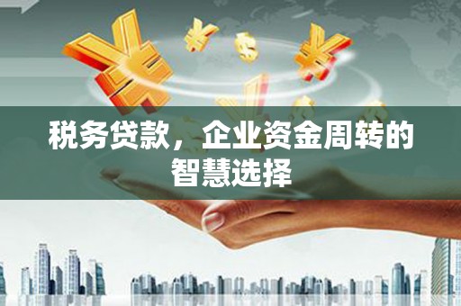 布袋税务贷款，企业资金周转的智慧选择