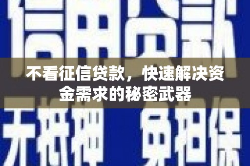布袋不看征信贷款，快速解决资金需求的秘密武器
