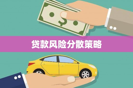 布袋贷款风险分散策略