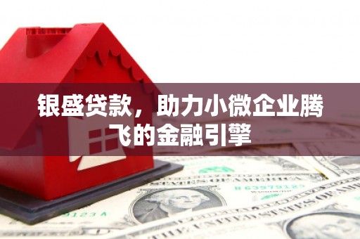 布袋银盛贷款，助力小微企业腾飞的金融引擎