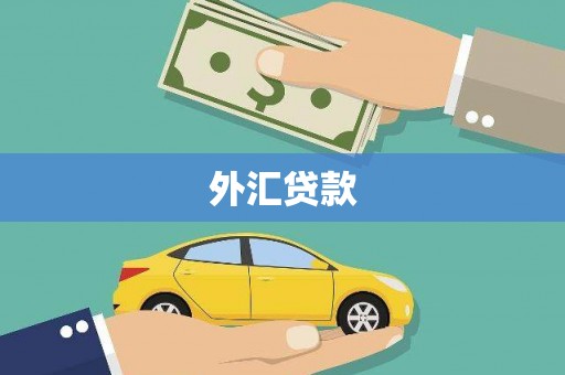 布袋外汇贷款