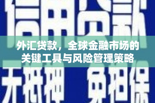 布袋外汇贷款，全球金融市场的关键工具与风险管理策略