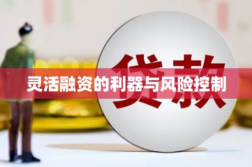 布袋灵活融资的利器与风险控制