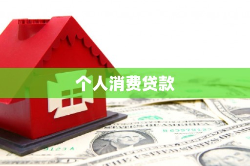 布袋个人消费贷款
