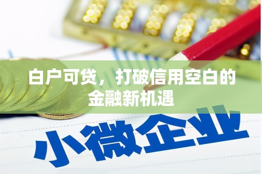 布袋白户可贷，打破信用空白的金融新机遇