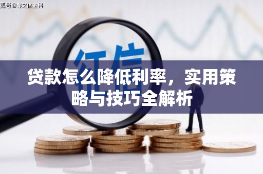 布袋贷款怎么降低利率，实用策略与技巧全解析