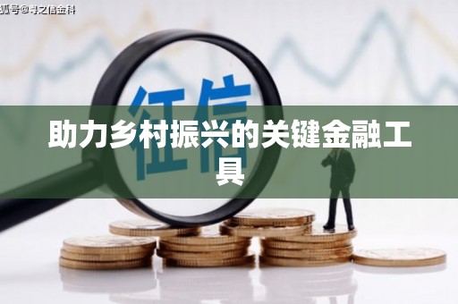 布袋助力乡村振兴的关键金融工具