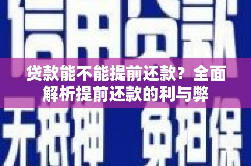 布袋贷款能不能提前还款？全面解析提前还款的利与弊