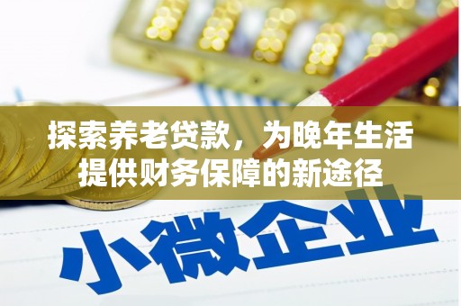 布袋探索养老贷款，为晚年生活提供财务保障的新途径