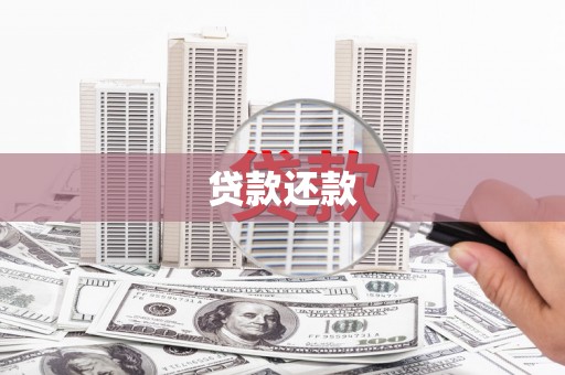 布袋贷款还款