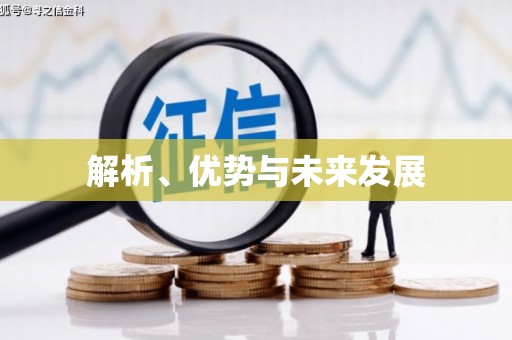 布袋解析、优势与未来发展