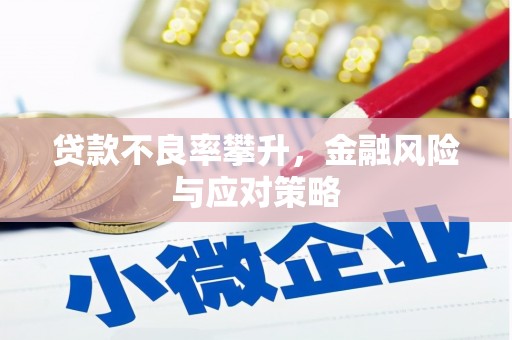 布袋贷款不良率攀升，金融风险与应对策略
