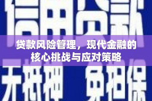布袋贷款风险管理，现代金融的核心挑战与应对策略