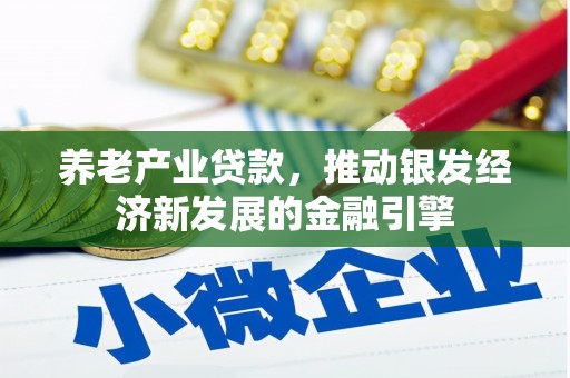 布袋养老产业贷款，推动银发经济新发展的金融引擎
