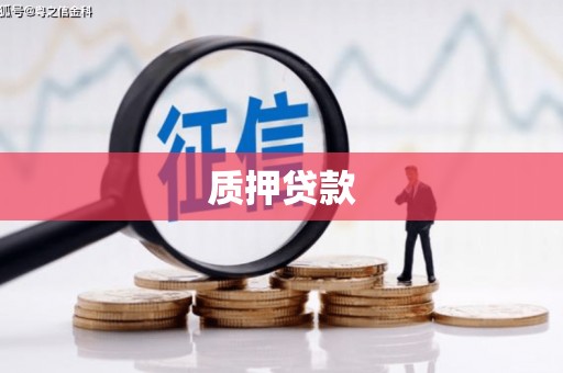 布袋质押贷款