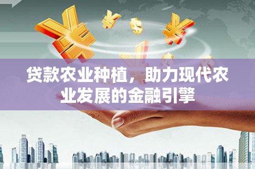 布袋贷款农业种植，助力现代农业发展的金融引擎