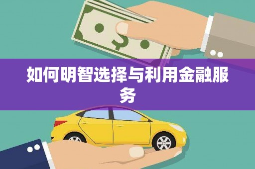 布袋如何明智选择与利用金融服务