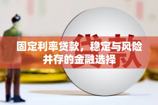 布袋固定利率贷款，稳定与风险并存的金融选择