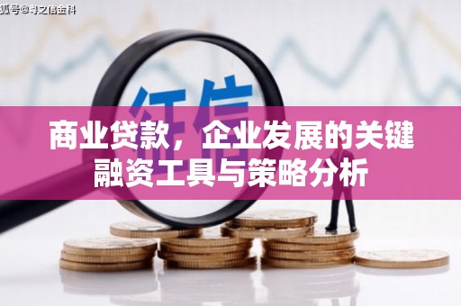 布袋商业贷款，企业发展的关键融资工具与策略分析