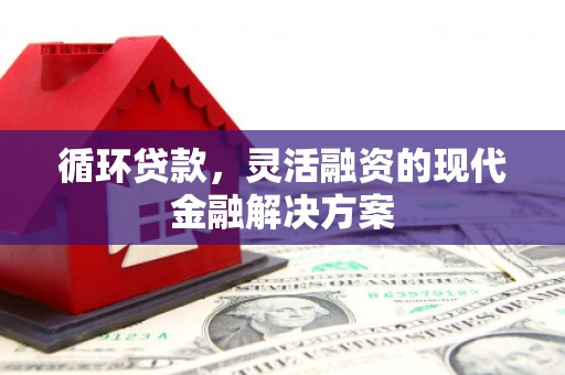 布袋循环贷款，灵活融资的现代金融解决方案