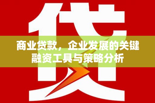 布袋商业贷款，企业发展的关键融资工具与策略分析