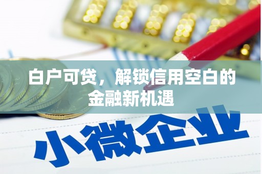 布袋白户可贷，解锁信用空白的金融新机遇