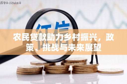 布袋农民贷款助力乡村振兴，政策、挑战与未来展望