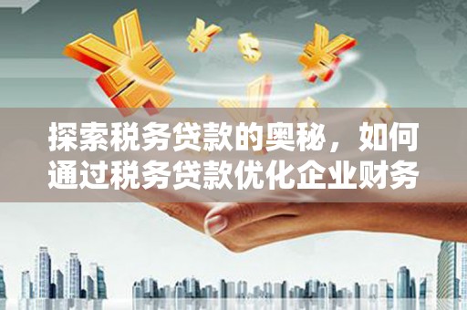 布袋探索税务贷款的奥秘，如何通过税务贷款优化企业财务