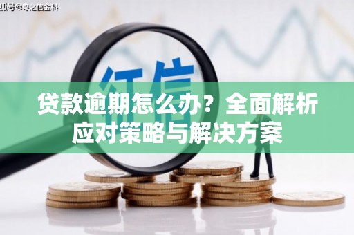 布袋贷款逾期怎么办？全面解析应对策略与解决方案