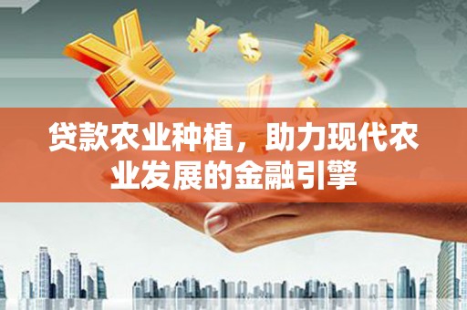 布袋贷款农业种植，助力现代农业发展的金融引擎