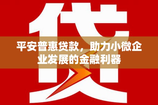 布袋平安普惠贷款，助力小微企业发展的金融利器