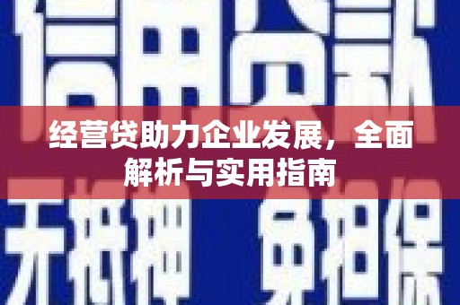 布袋经营贷助力企业发展，全面解析与实用指南
