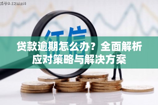 布袋贷款逾期怎么办？全面解析应对策略与解决方案