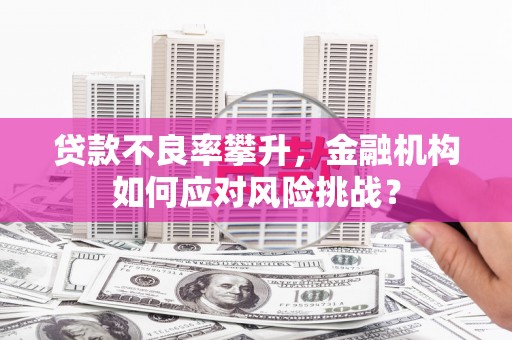 布袋贷款不良率攀升，金融机构如何应对风险挑战？