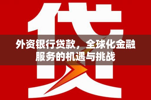 布袋外资银行贷款，全球化金融服务的机遇与挑战