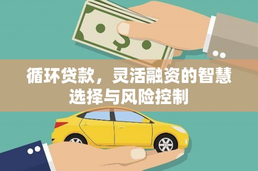 布袋循环贷款，灵活融资的智慧选择与风险控制