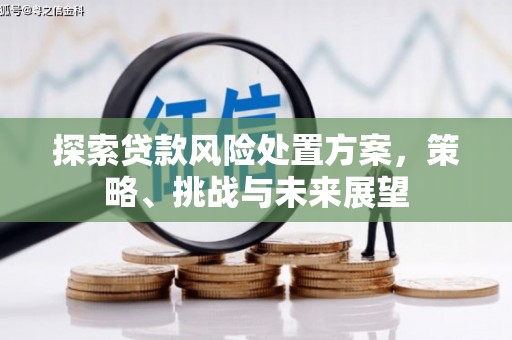 布袋探索贷款风险处置方案，策略、挑战与未来展望