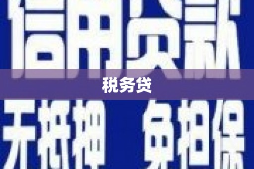 布袋税务贷