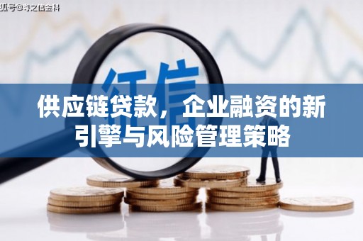 布袋供应链贷款，企业融资的新引擎与风险管理策略