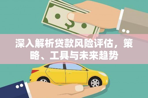 布袋深入解析贷款风险评估，策略、工具与未来趋势